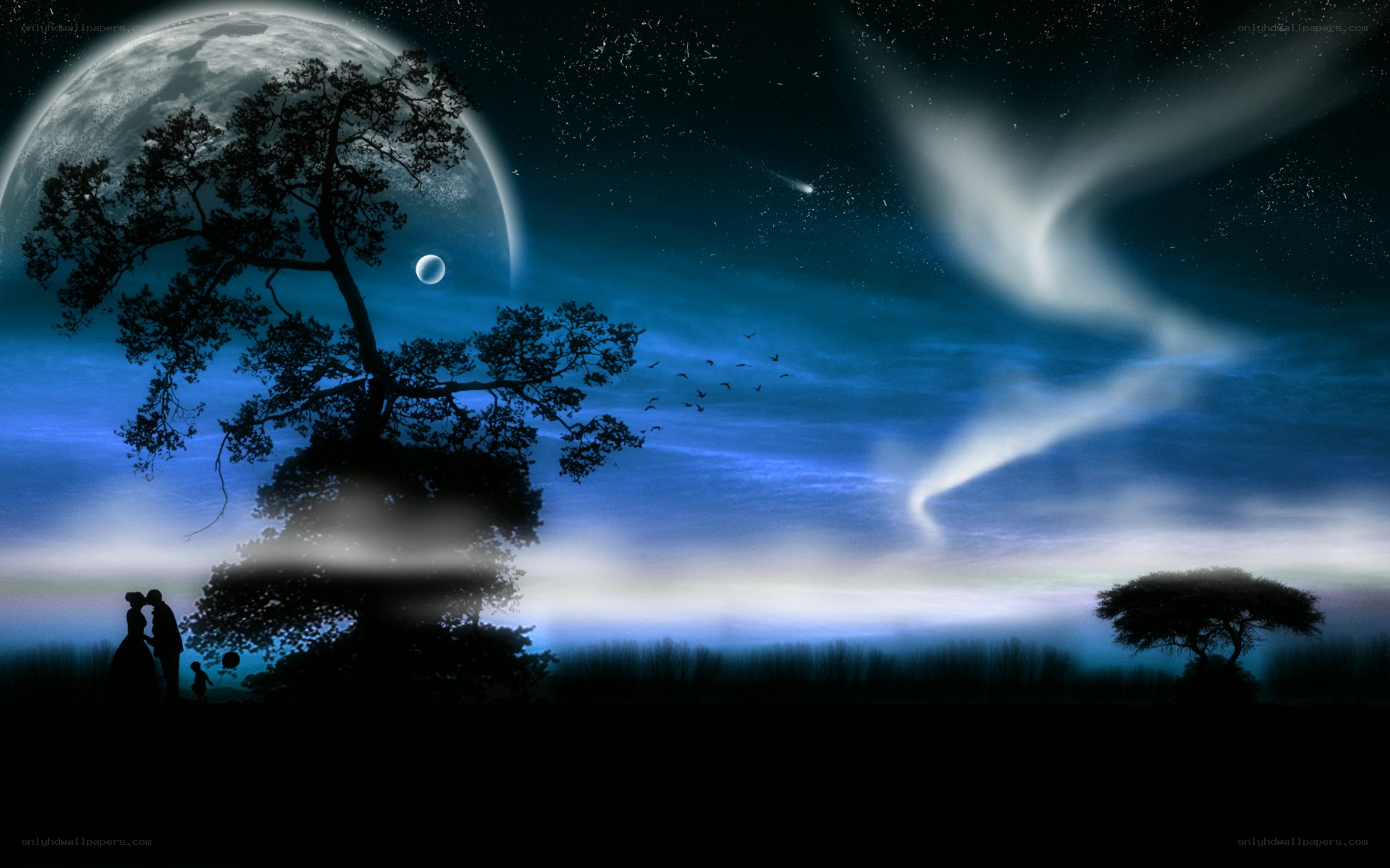Silhouette couple under moonlit sky