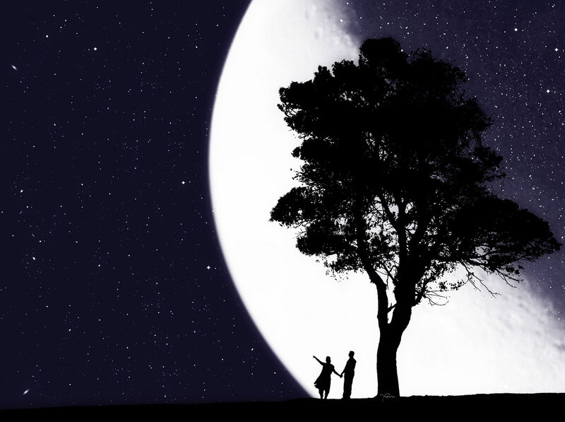 Silhouette Couple under Tree — Black