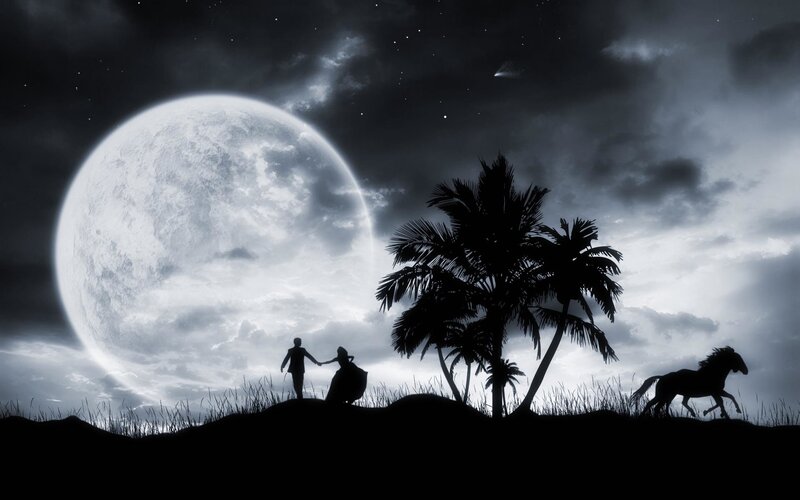 Silhouette Couple Walking — Black