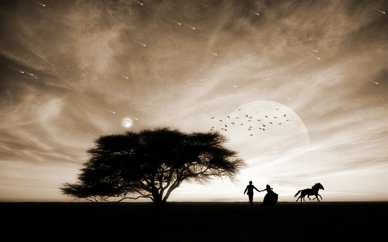 Silhouette Couple Walking — Brown