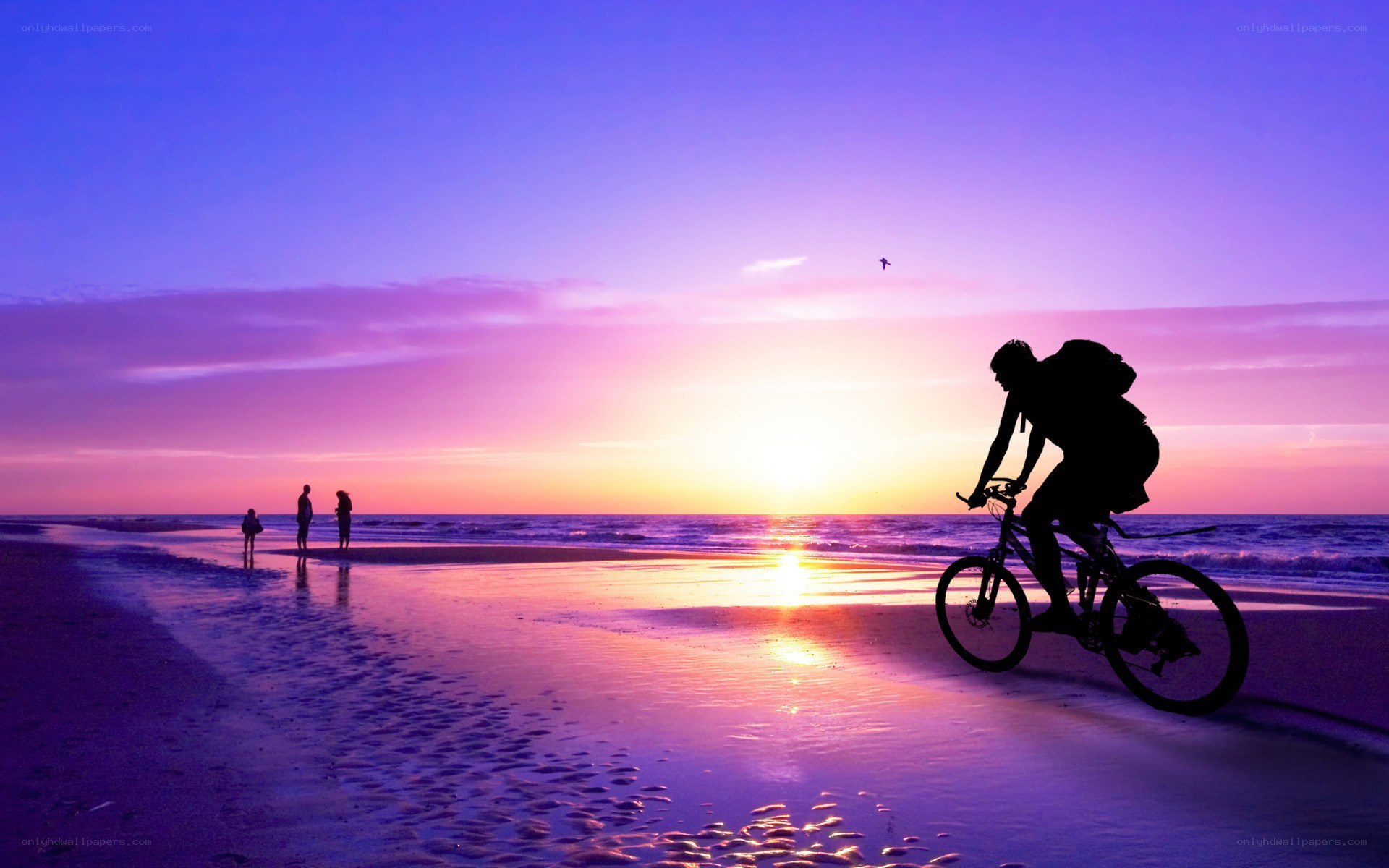 Silhouette cyclist on beach at sunset
