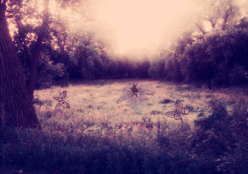 Silhouette Dancer in Field