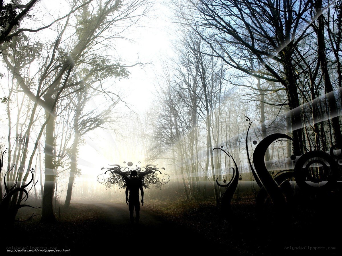 Silhouette figure in misty forest