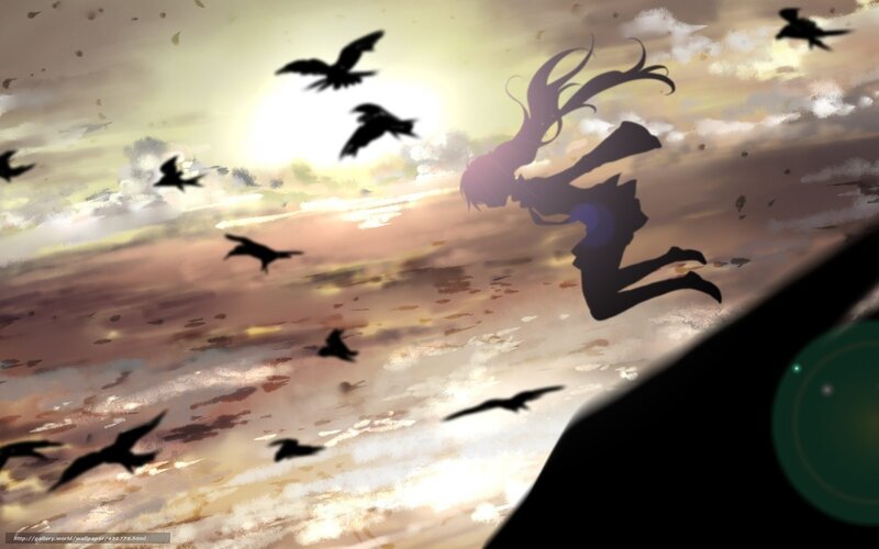 silhouette girl flying with birds