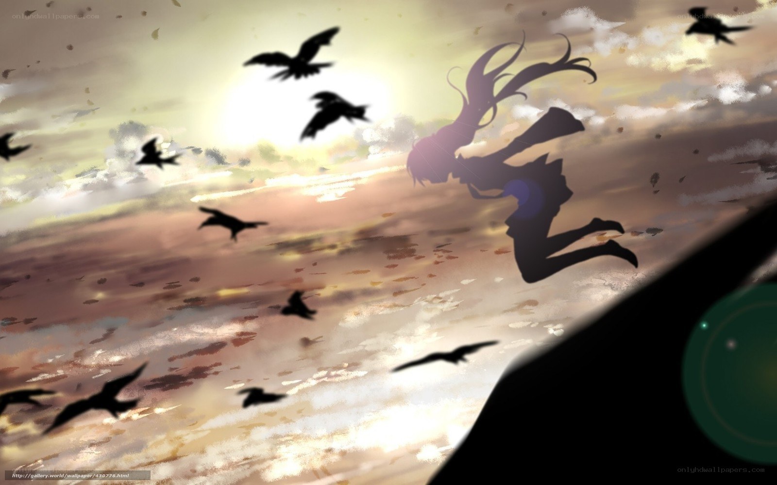 silhouette girl flying with birds