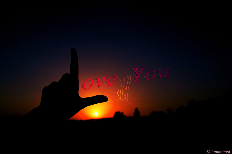 Silhouette Hand at Sunset