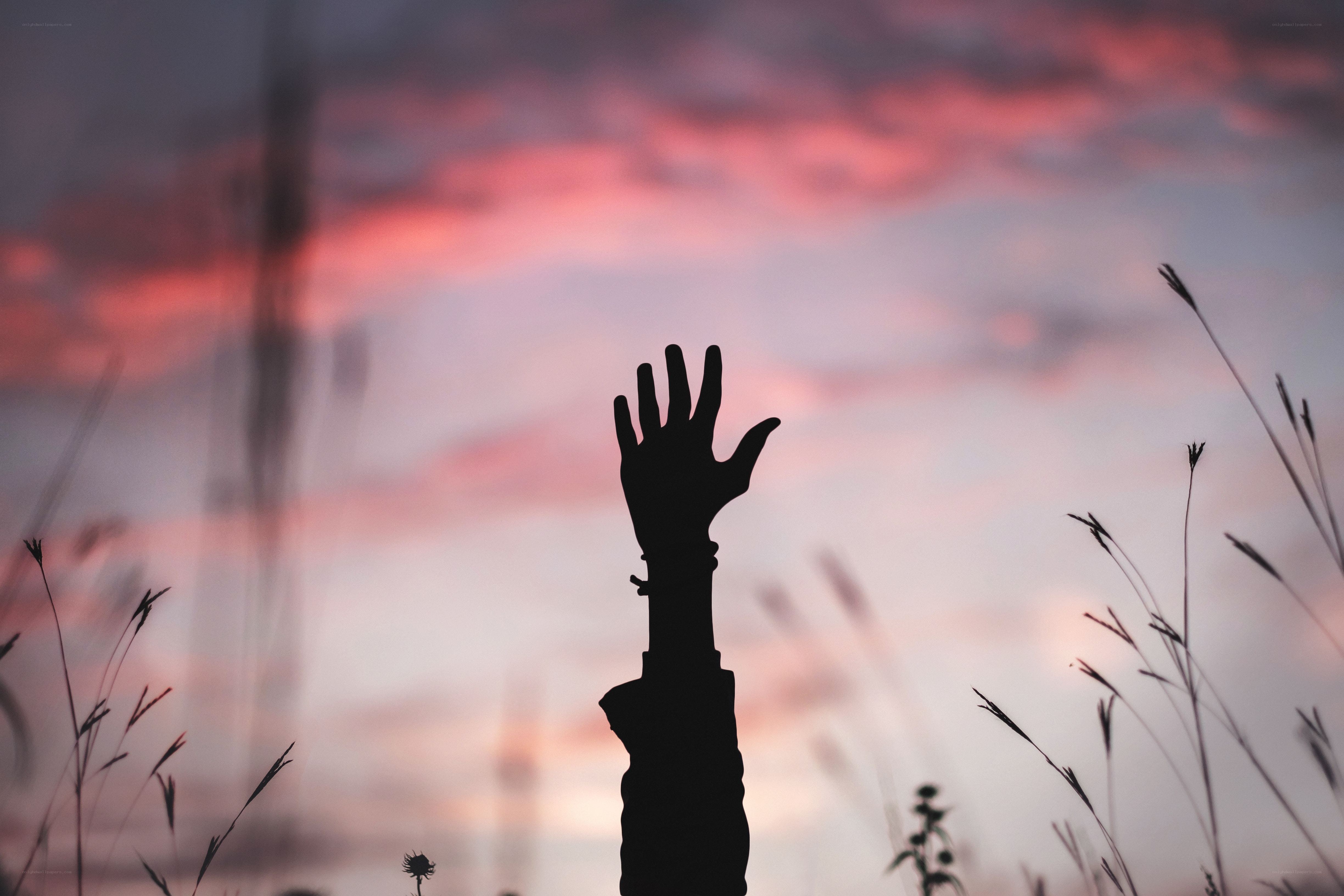 silhouette hand reaching sky