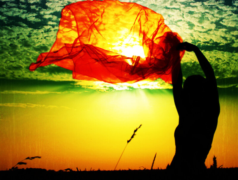 Silhouette Holding Cloth