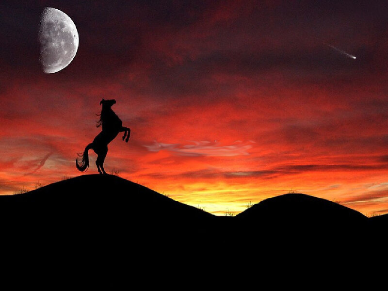 silhouette horse at sunset