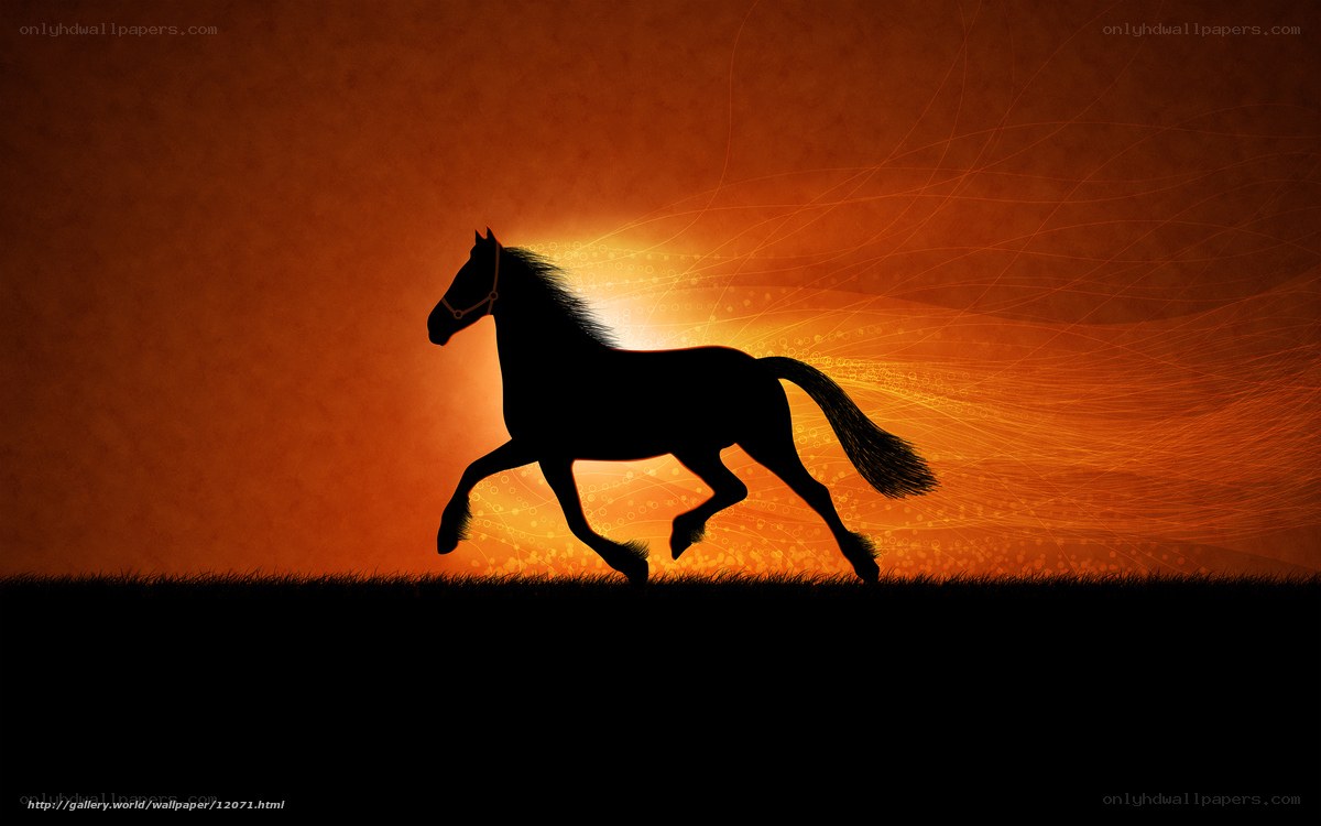 silhouette horse at sunset