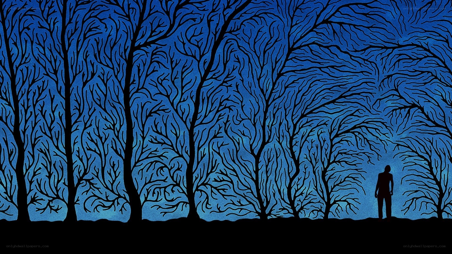 Silhouette in a blue forest