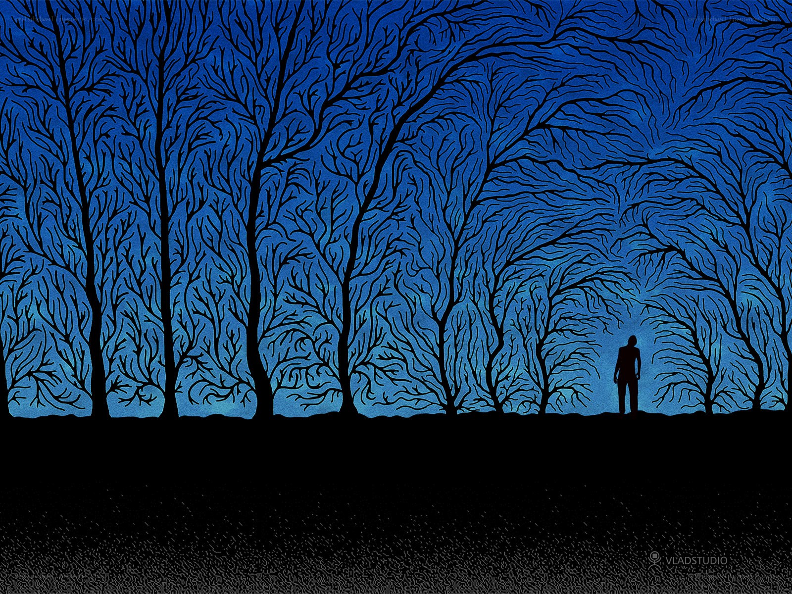 Silhouette in a blue forest