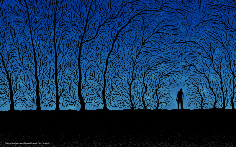 Silhouette in a blue forest