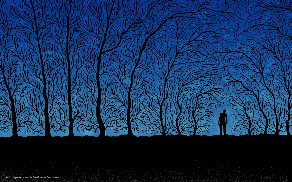 Silhouette in a blue forest