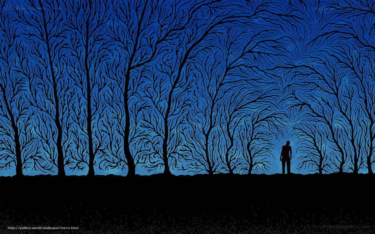 Silhouette in a blue forest