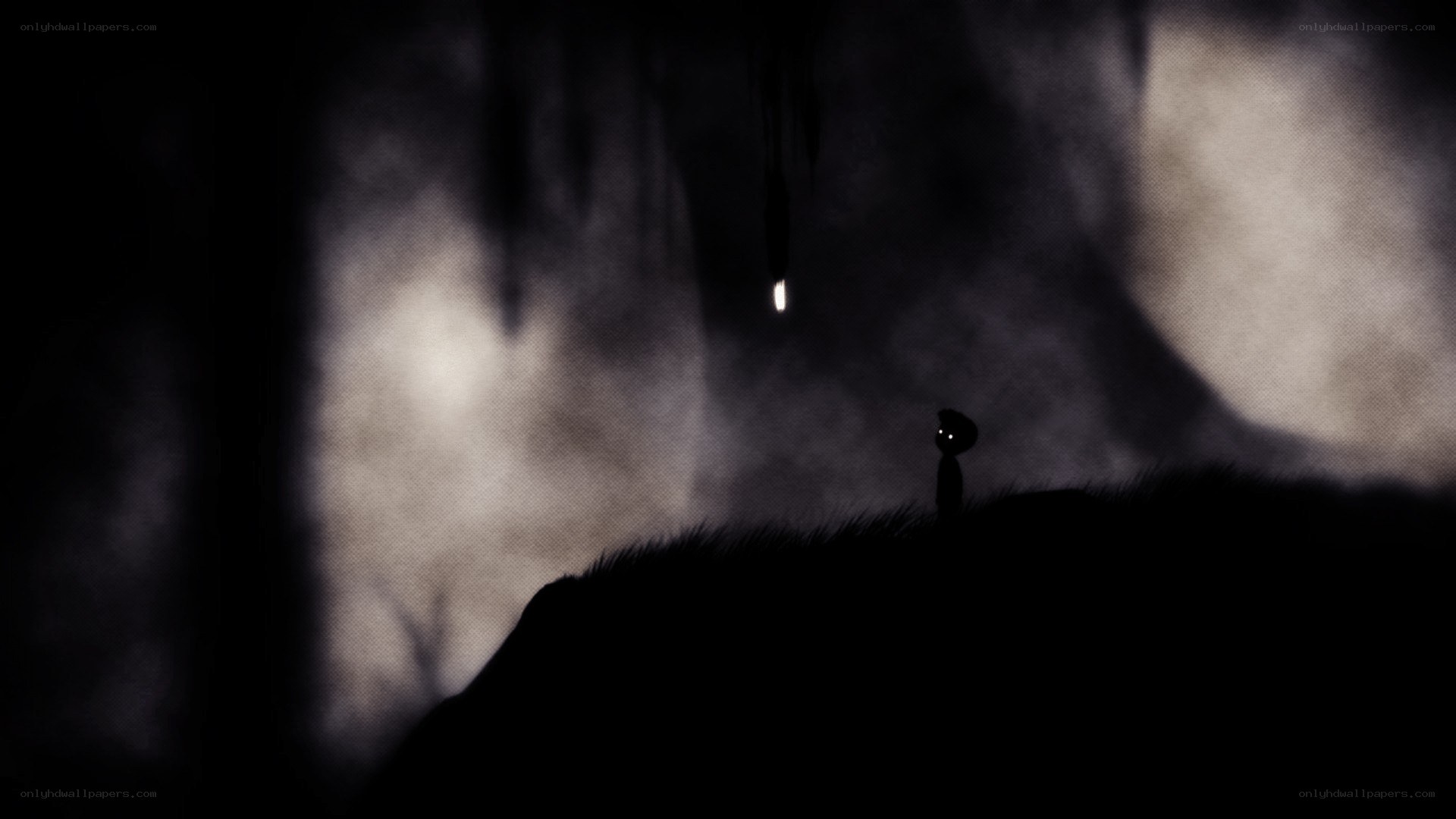 Silhouette in a dark forest