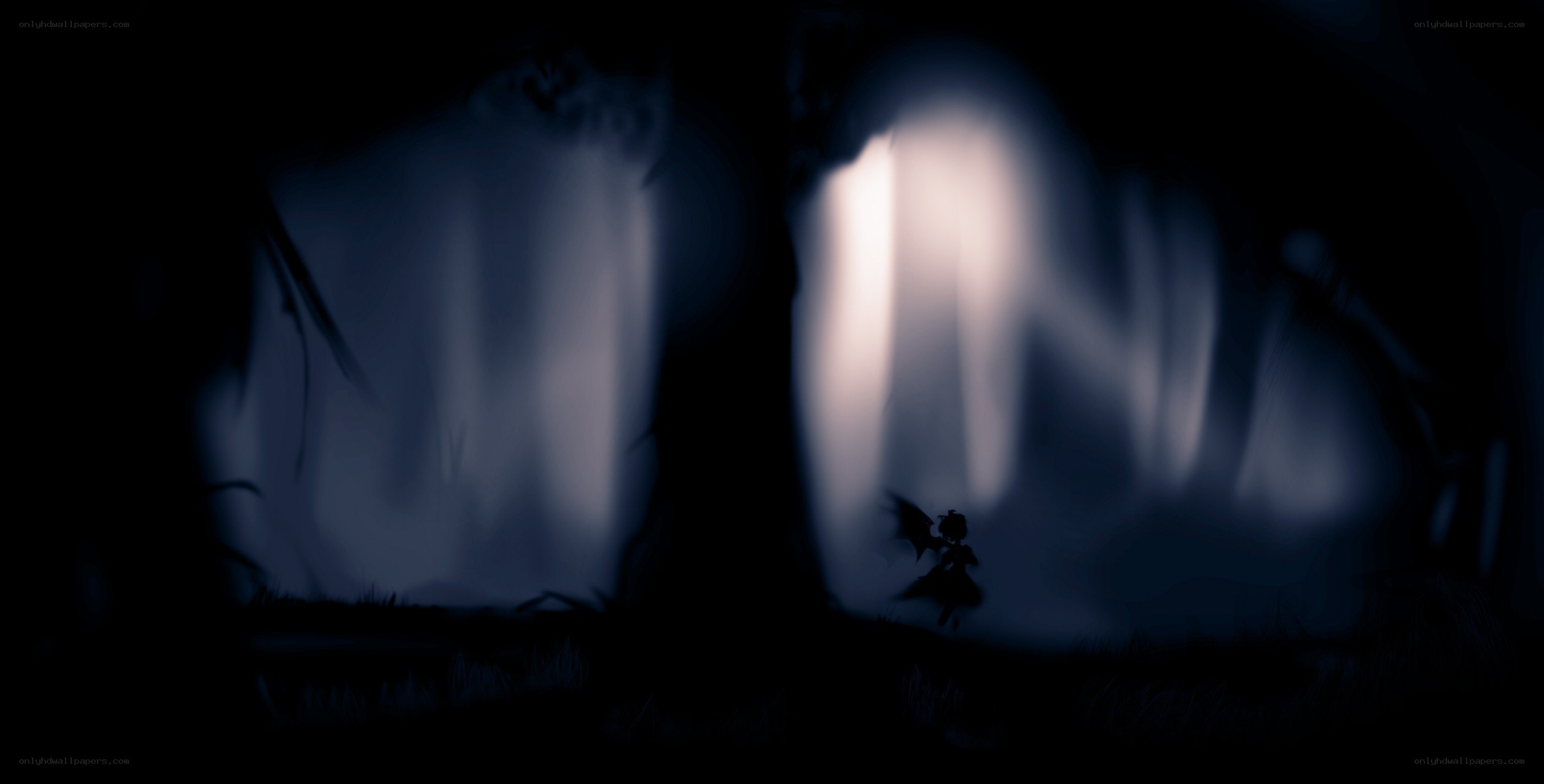 Silhouette in a dark forest