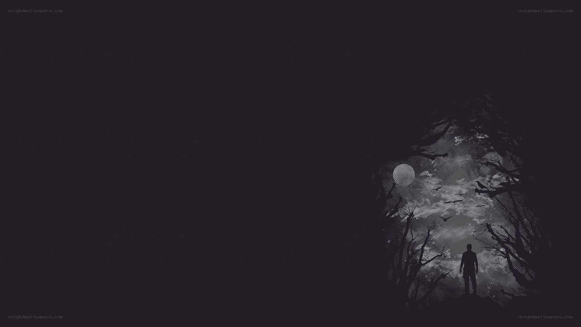 silhouette in a dark forest