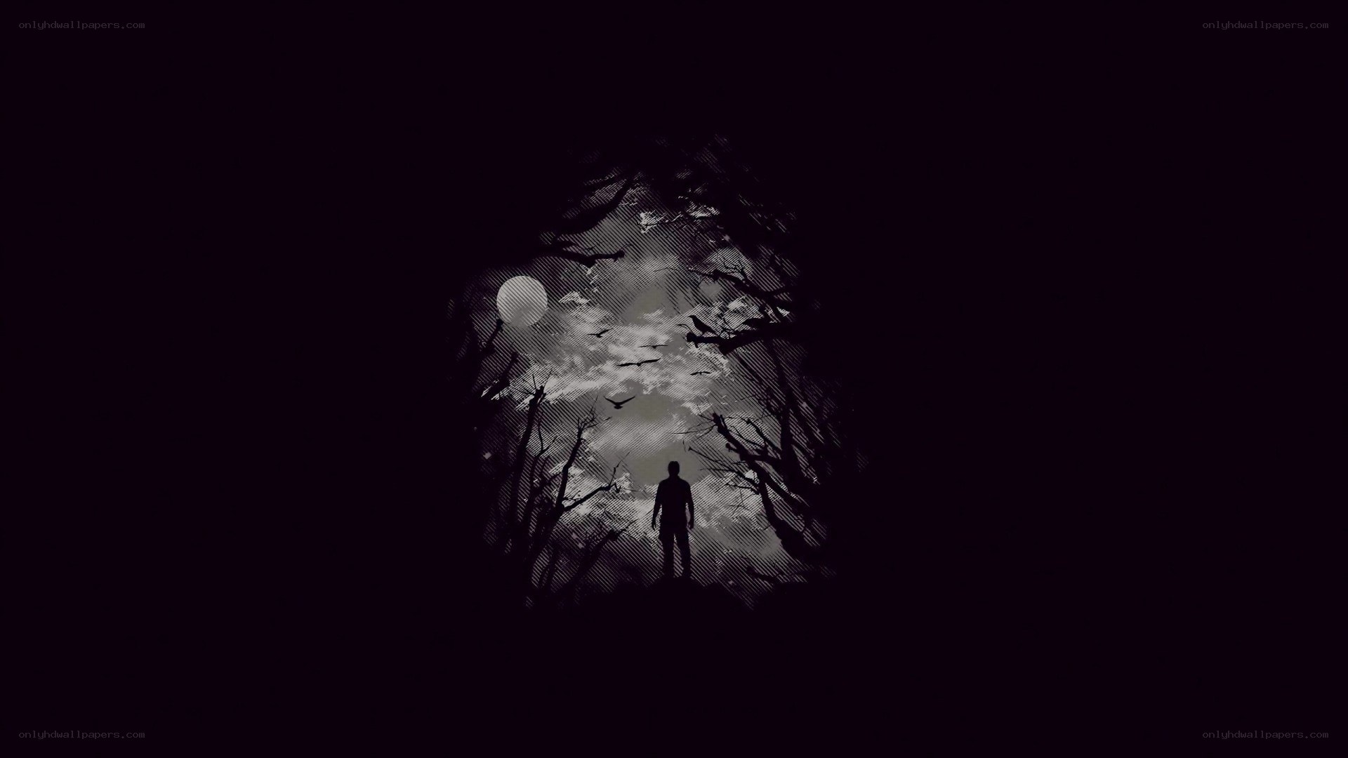 silhouette in a dark forest