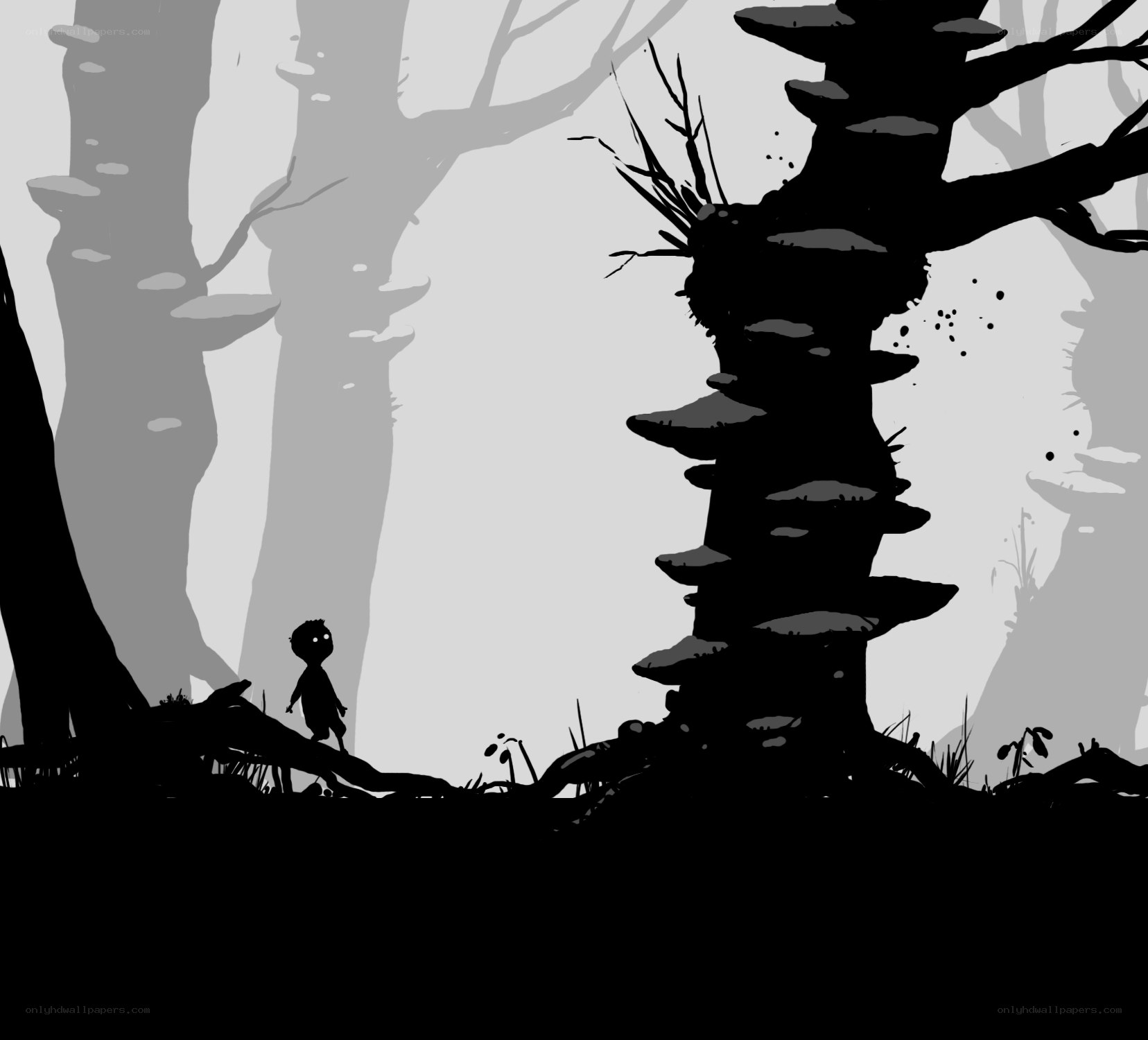 Silhouette in a dark forest