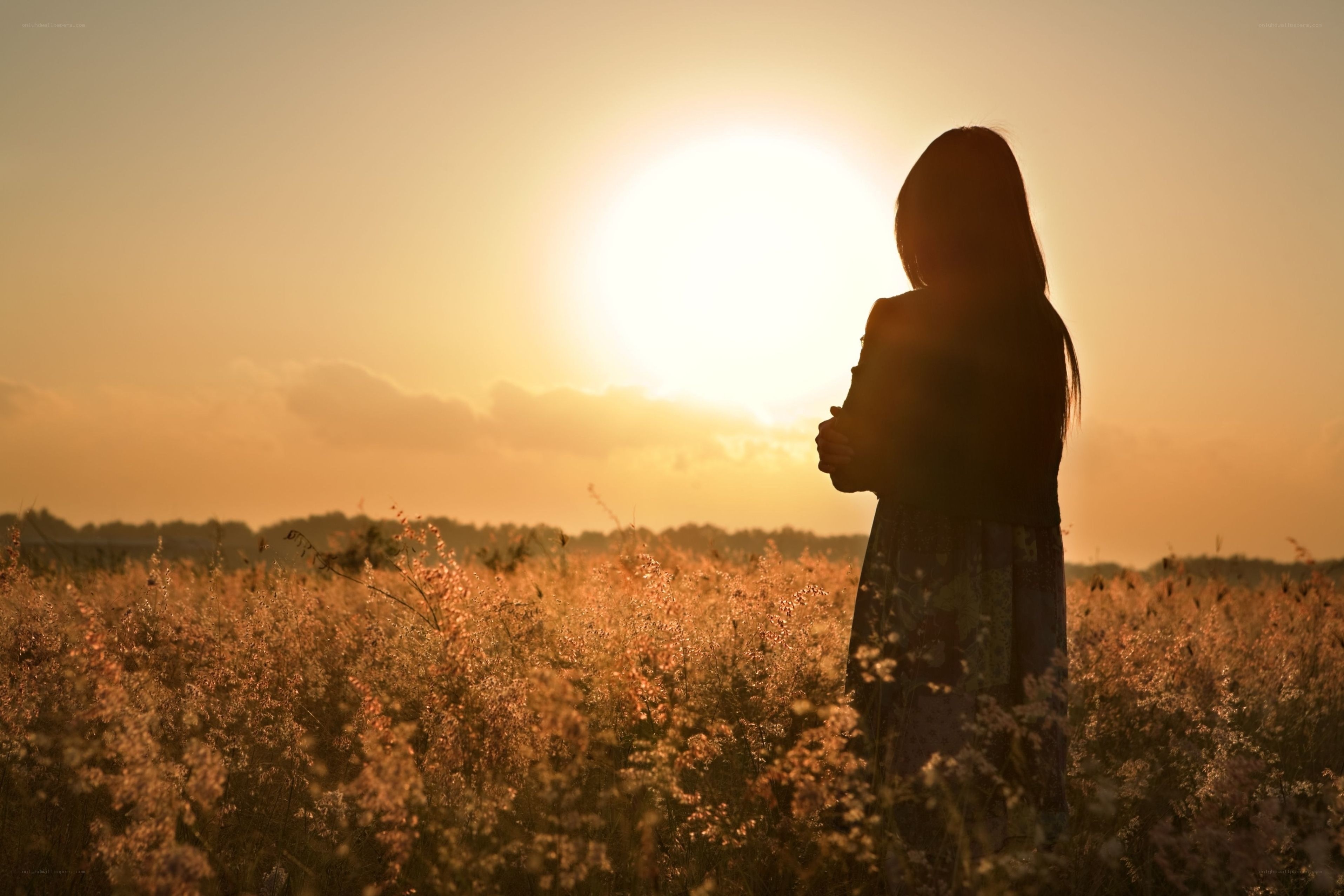 Silhouette in a field at sunset
