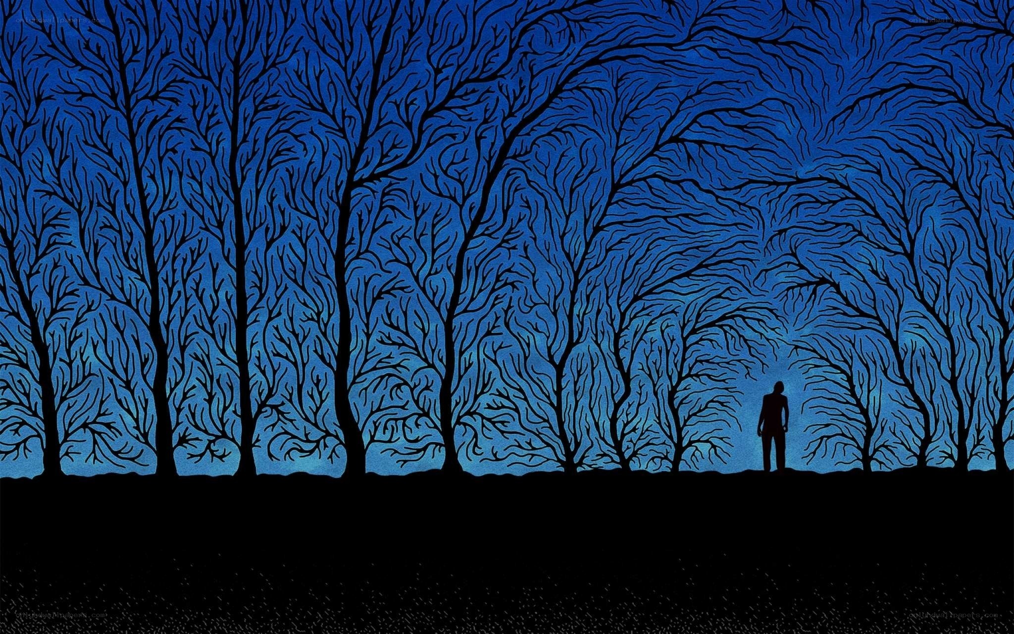 Silhouette in a forest at night