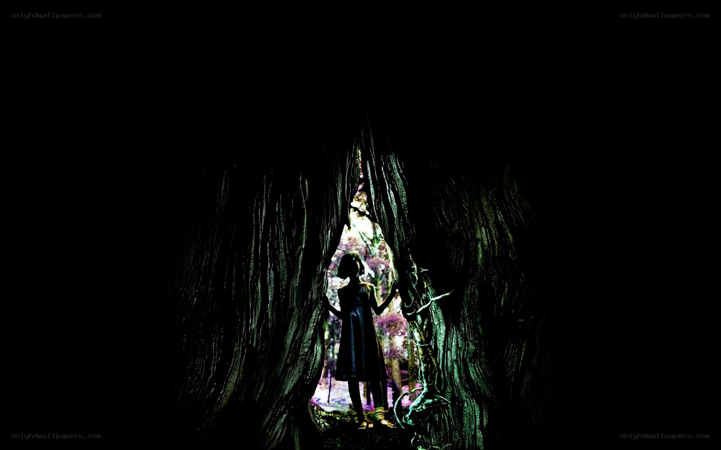 Silhouette in a forest clearing