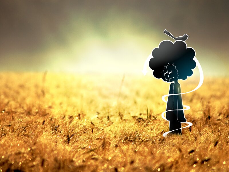Silhouette in a golden field