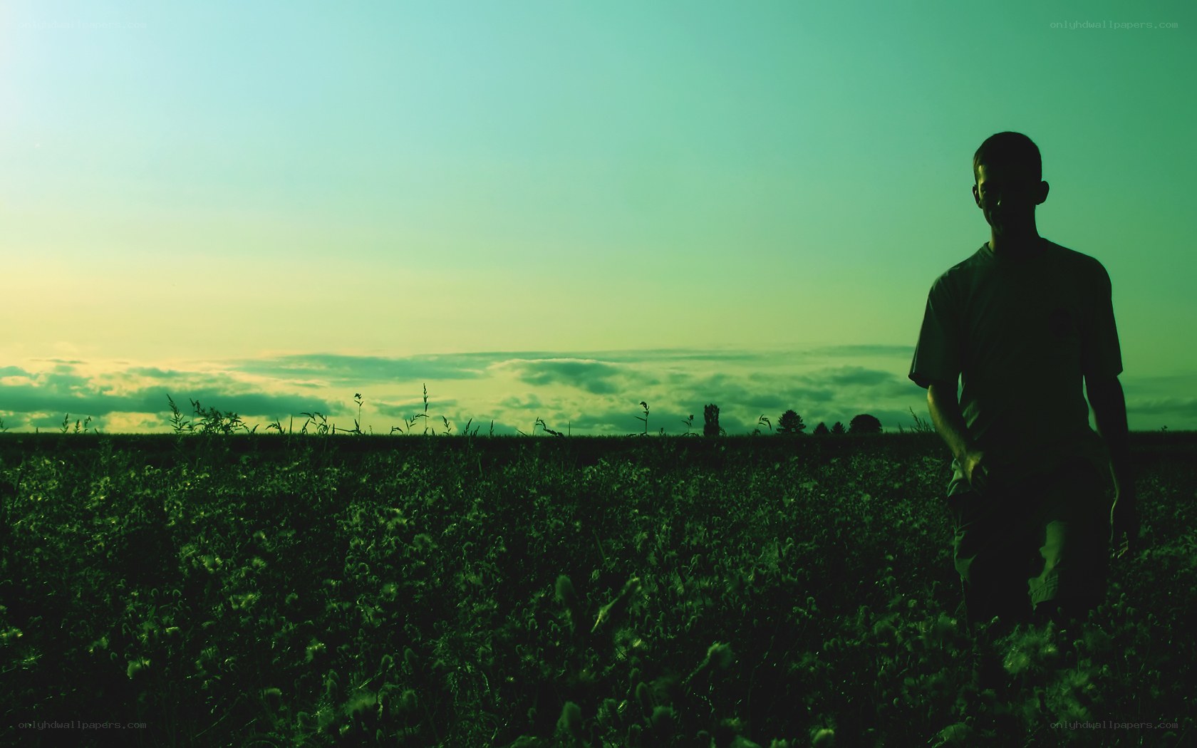 Silhouette in a green field