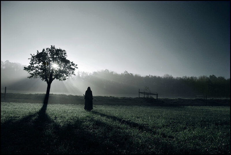 Silhouette in a misty field