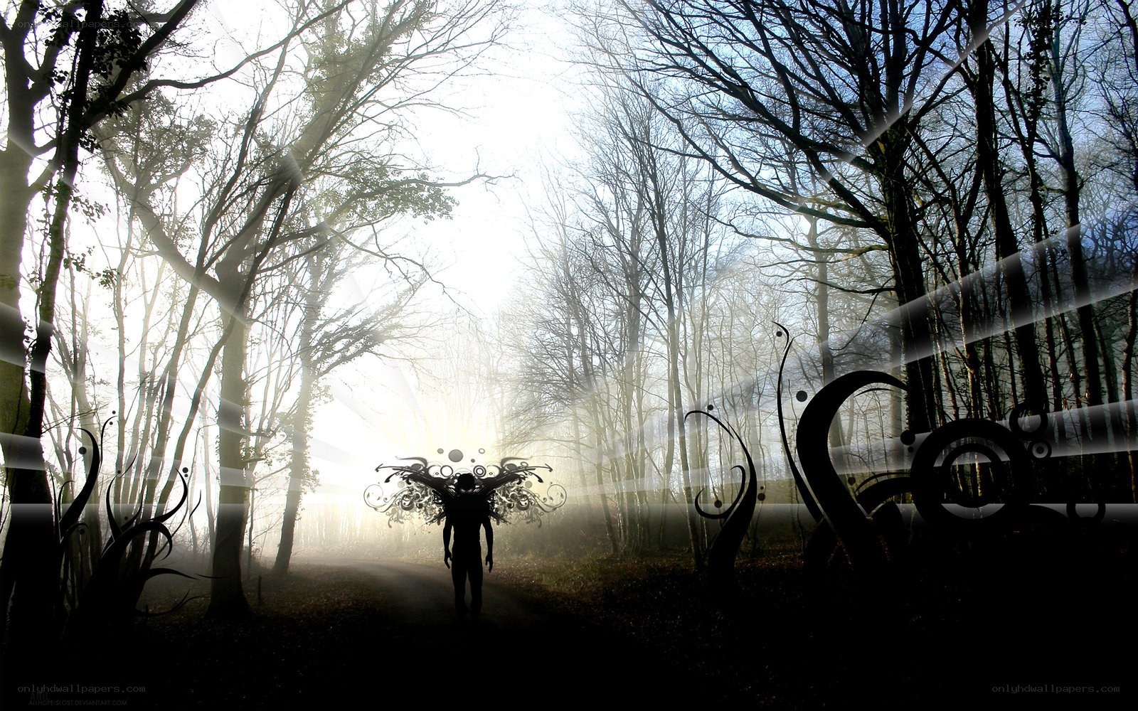 Silhouette in a misty forest