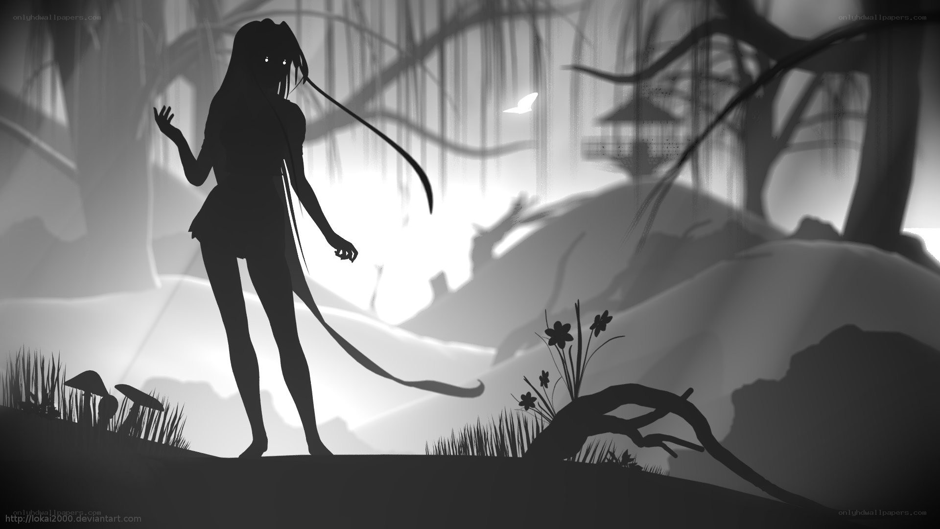 silhouette in a misty forest