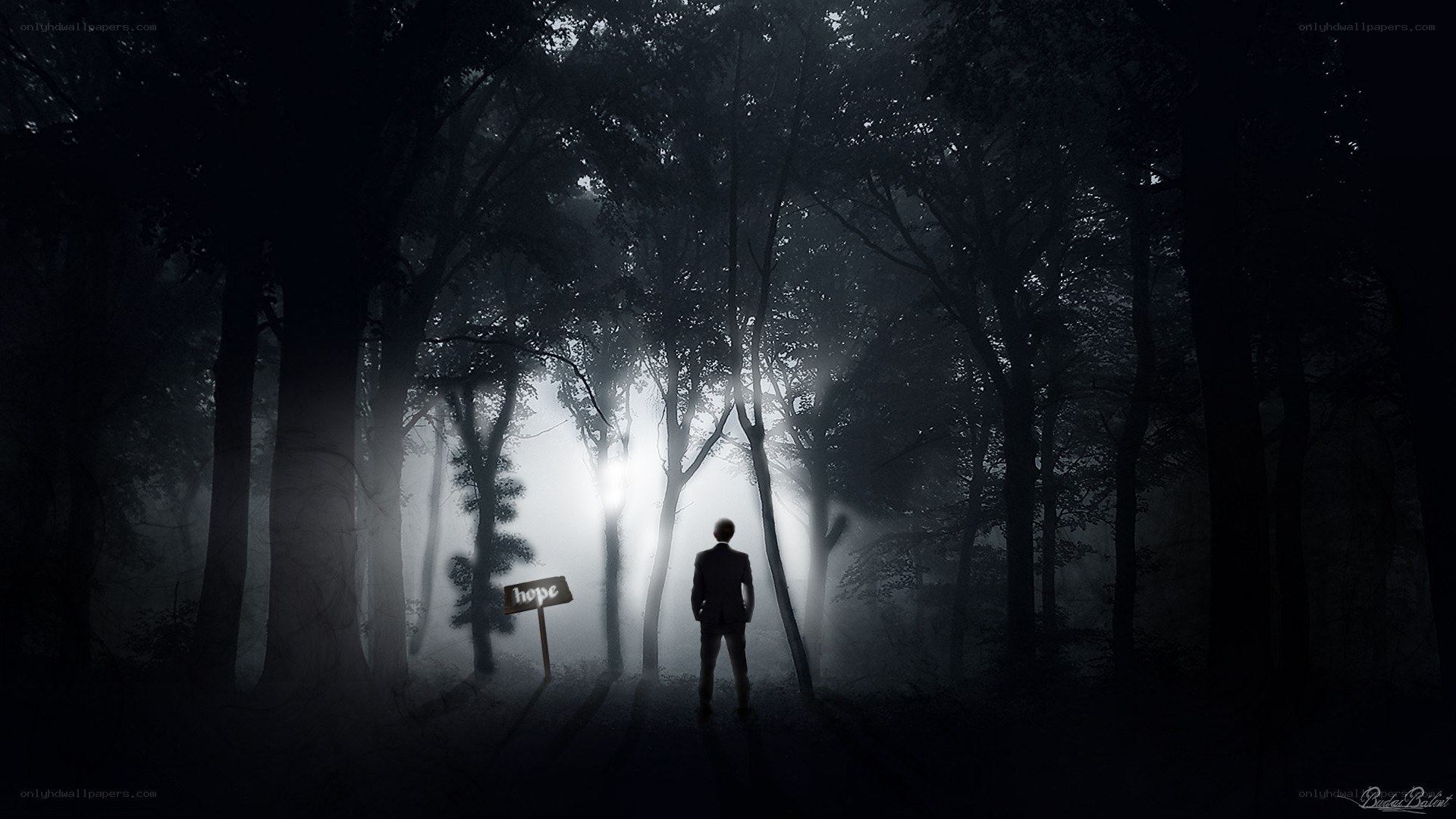 Silhouette in a misty forest