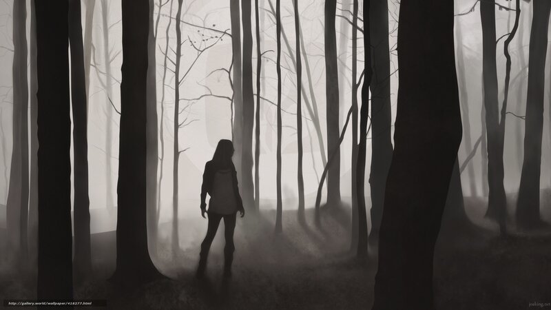 Silhouette in a misty forest