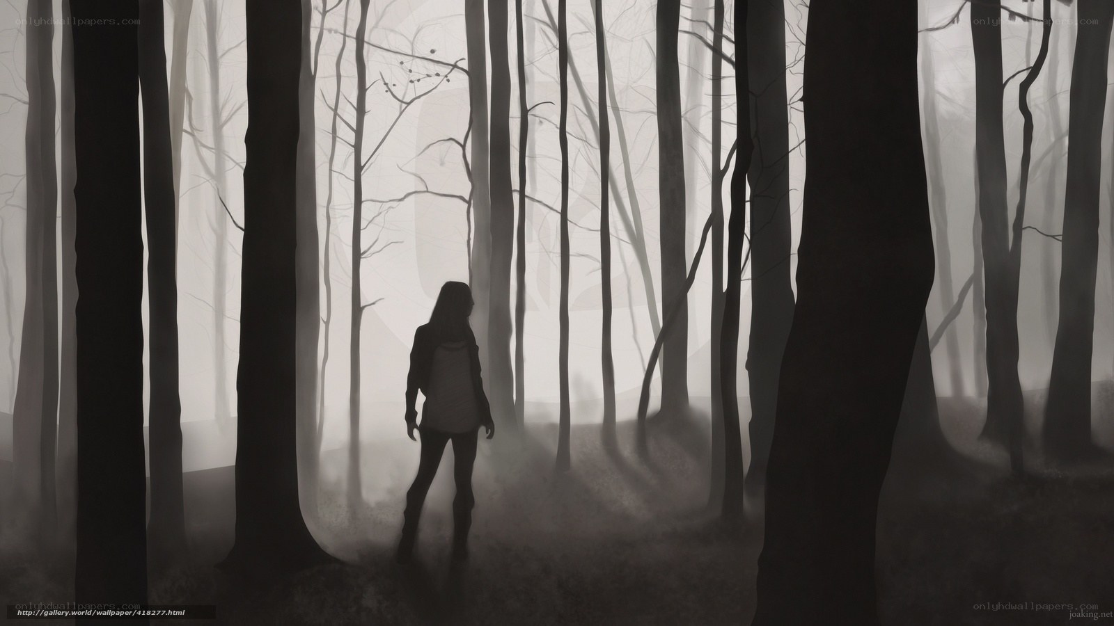 Silhouette in a misty forest