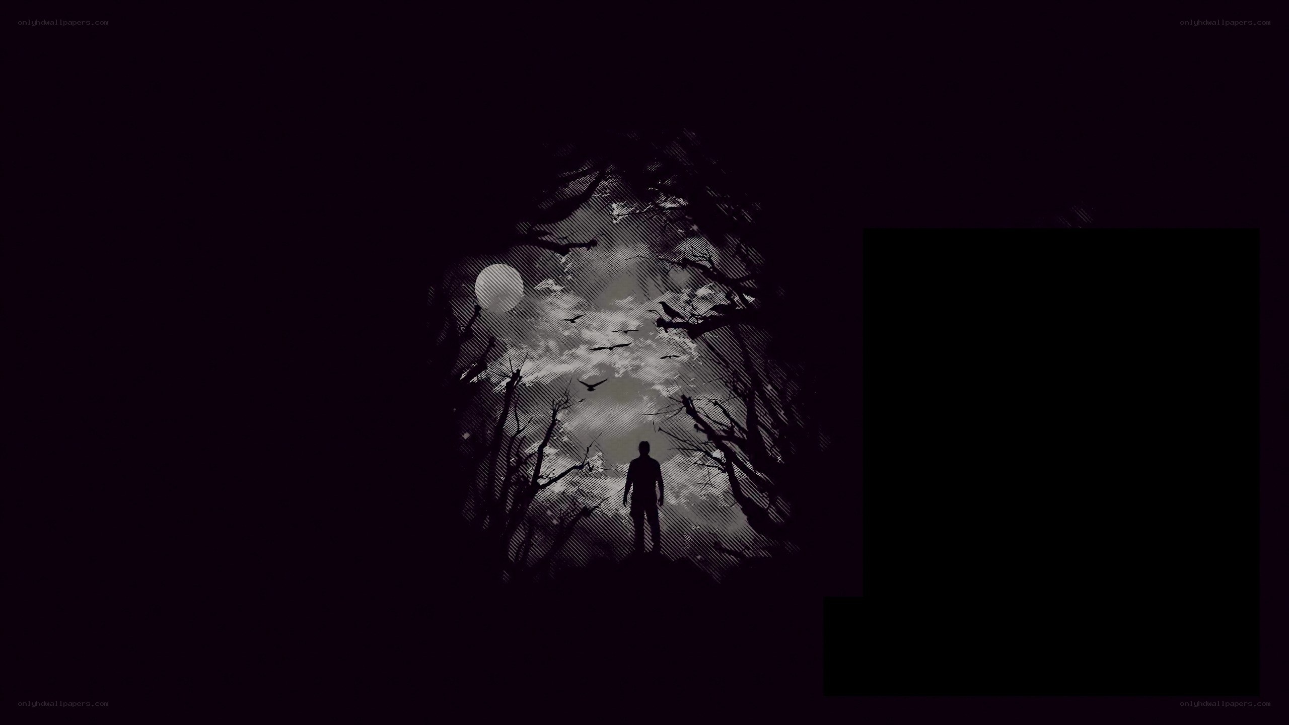 Silhouette in a moonlit forest