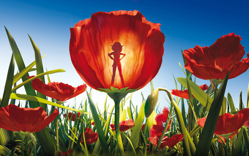 Silhouette in a poppy field