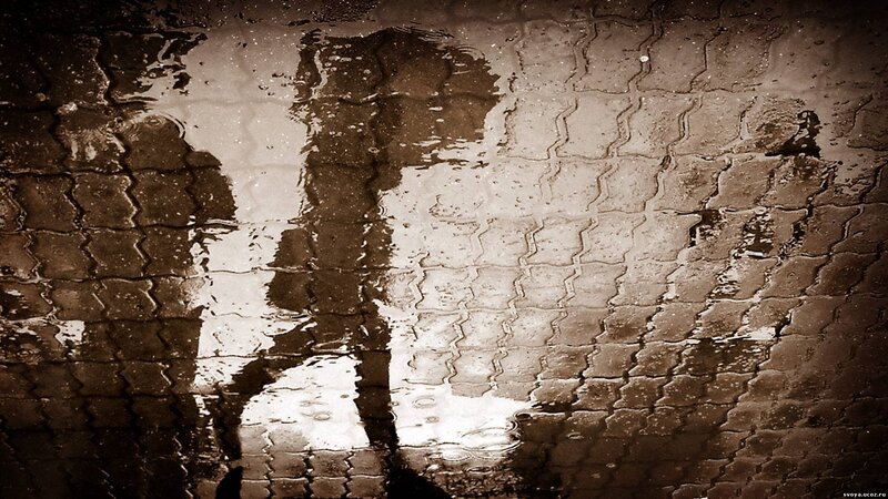 silhouette in a puddle