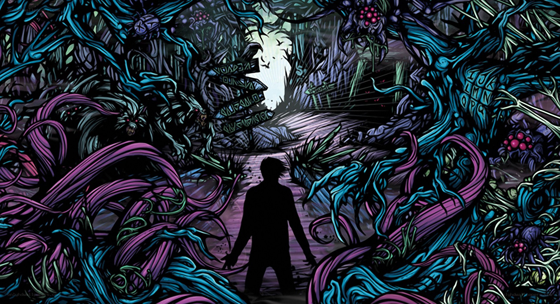 Silhouette in a twisted forest