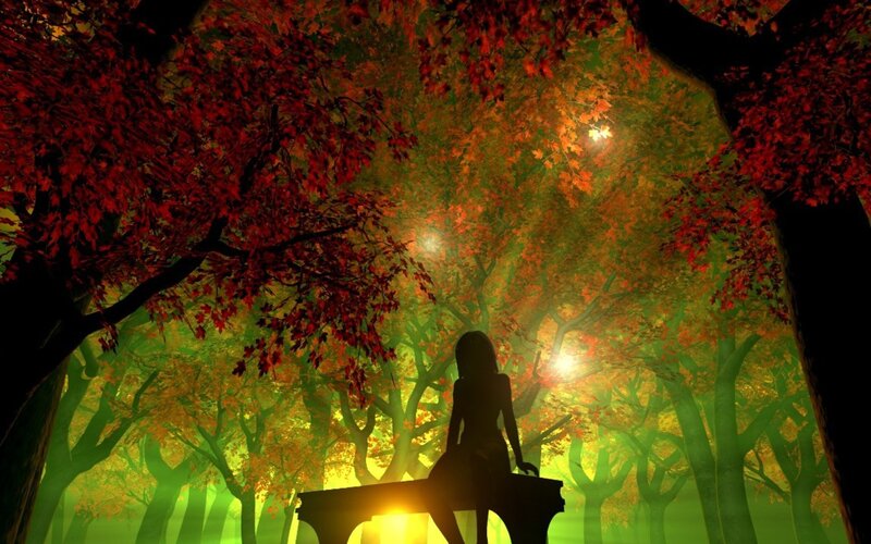 Silhouette in autumn forest