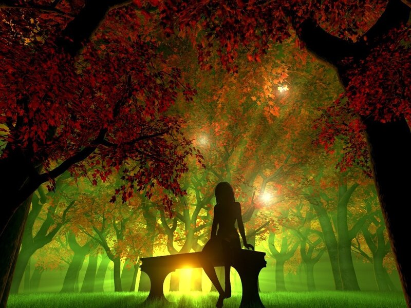 Silhouette in autumn forest