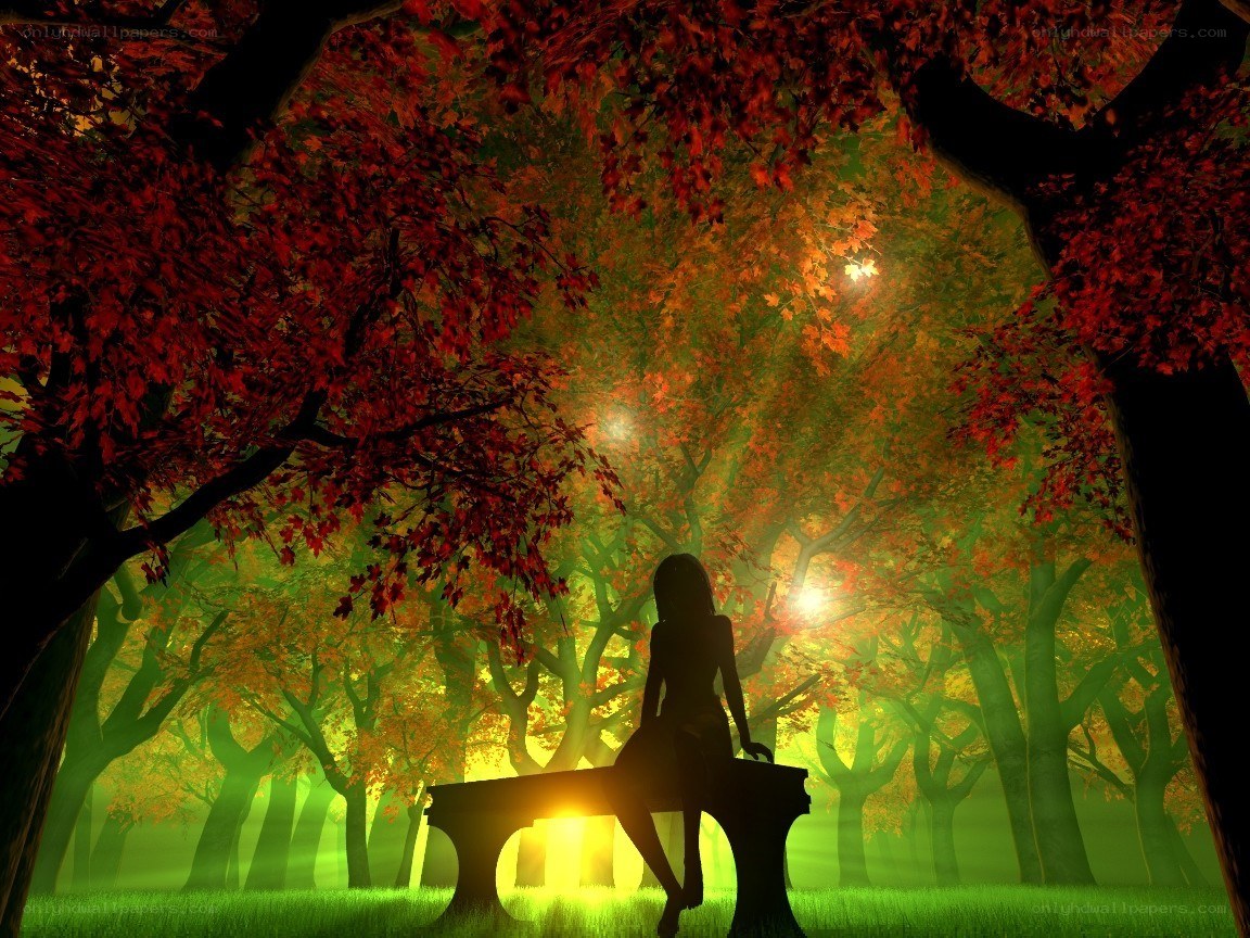 Silhouette in autumn forest
