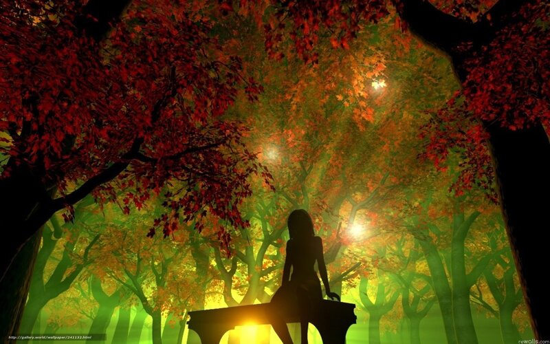 Silhouette in autumn forest