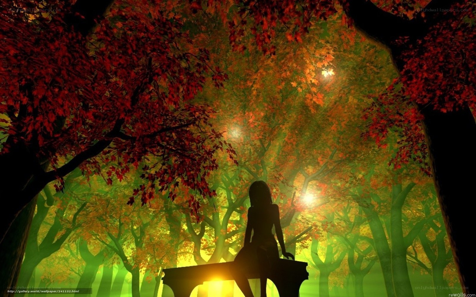 Silhouette in autumn forest