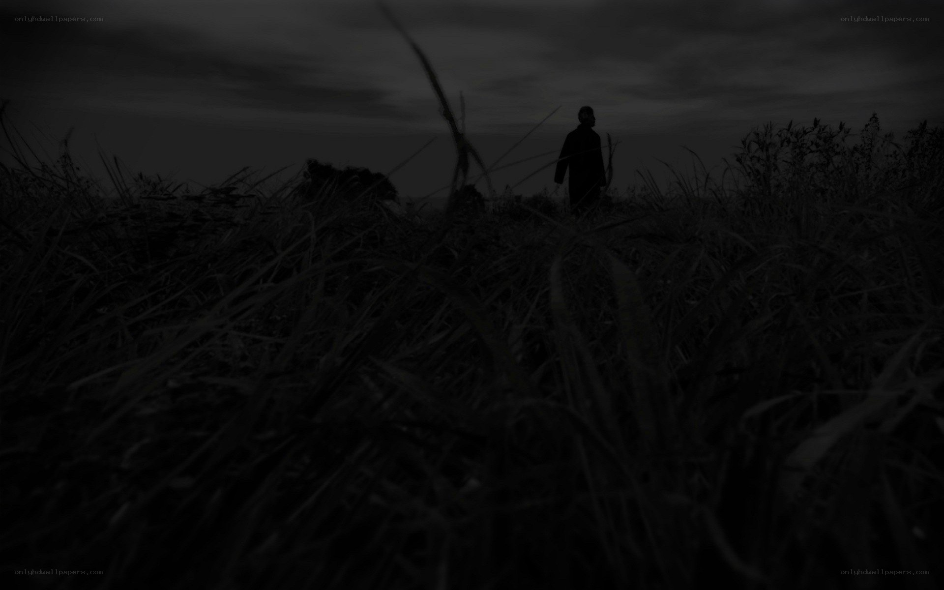 silhouette in dark field