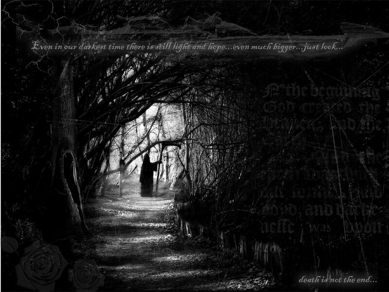 Silhouette in Dark Forest — Black, Night, Digital Art