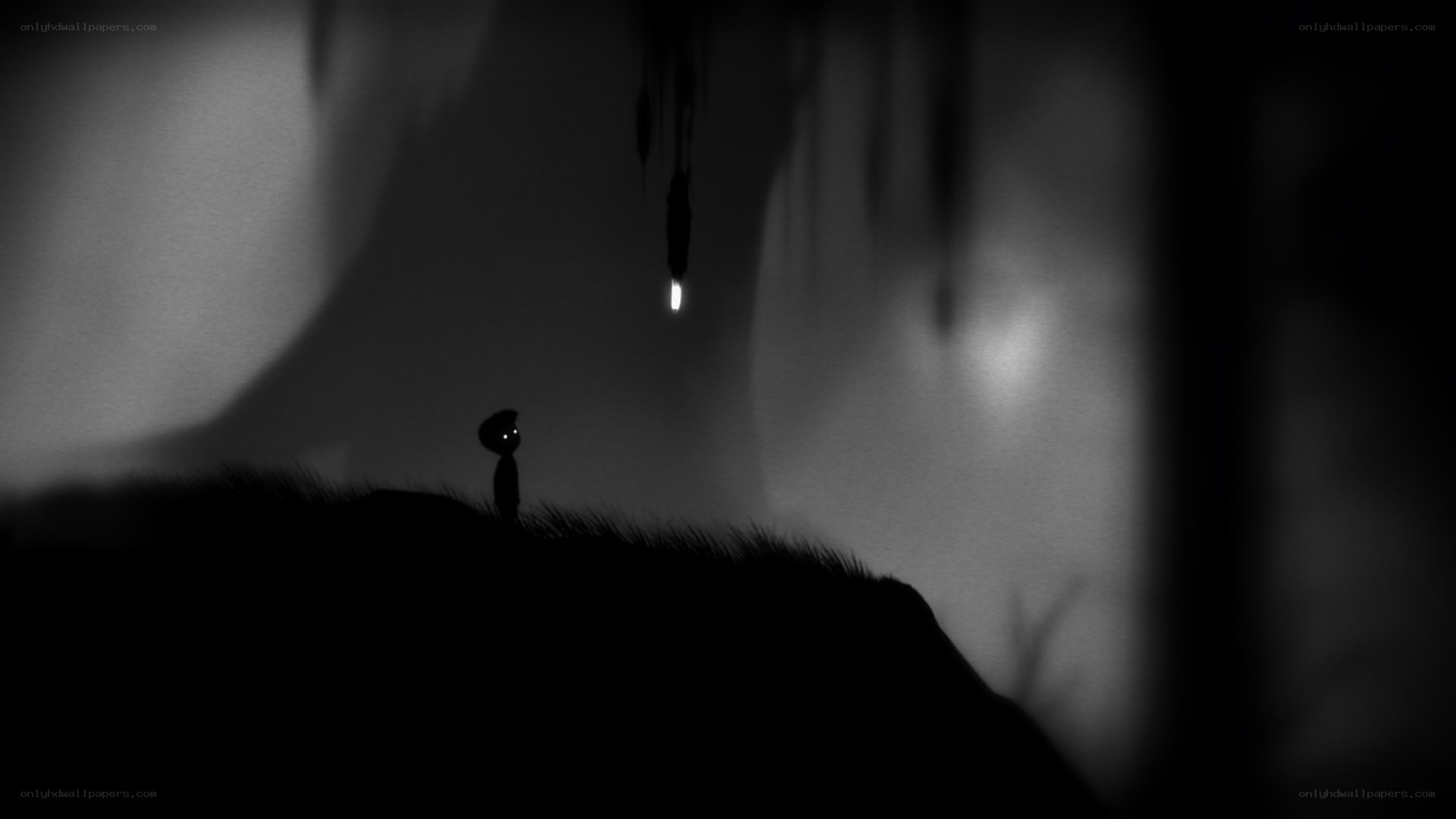 silhouette in dark landscape