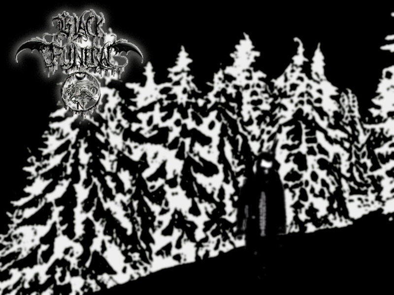 Silhouette in Forest