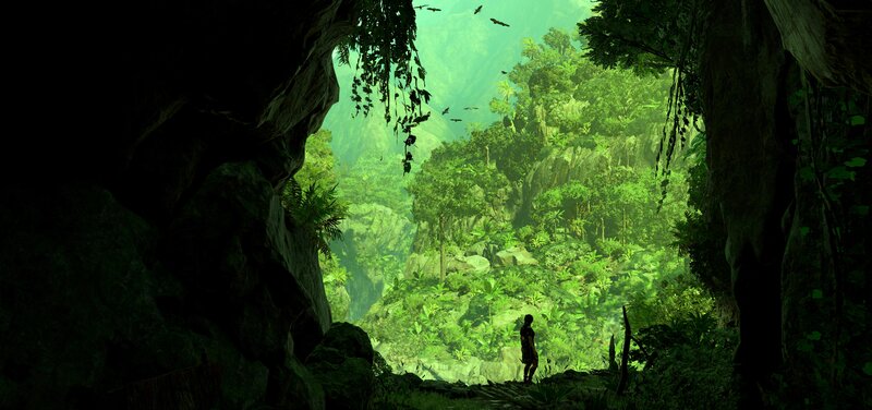 Silhouette in Jungle