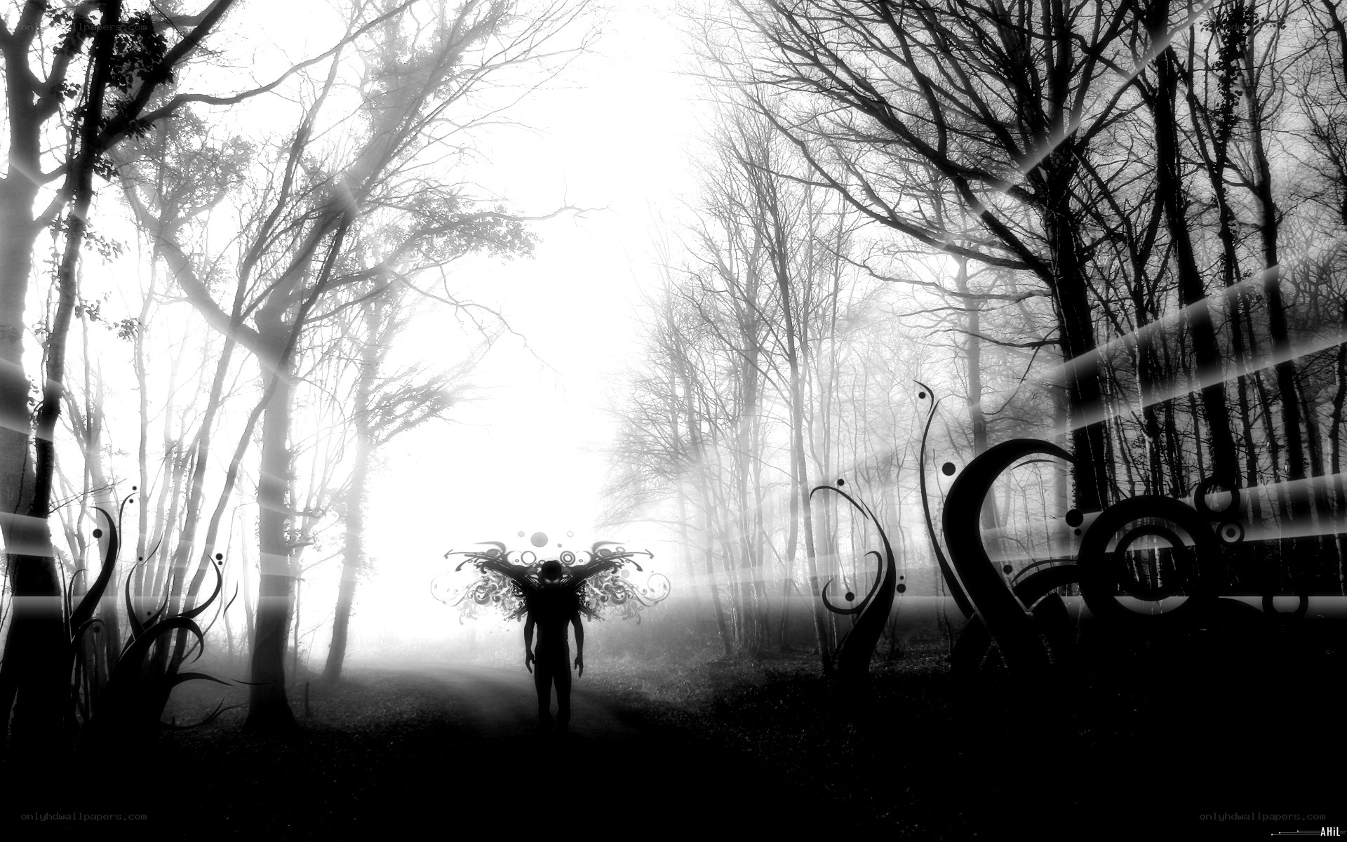 silhouette in misty forest